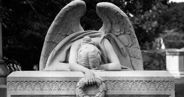 coffin-angel-660x350-1436338810